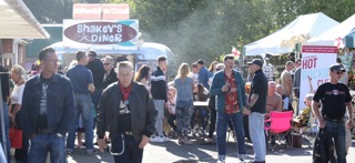 Vintage_Day_Kinsmeadow_27_Sept_20150016