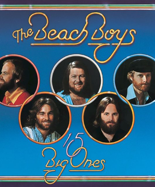 The Beach Boys - 15 Big Ones